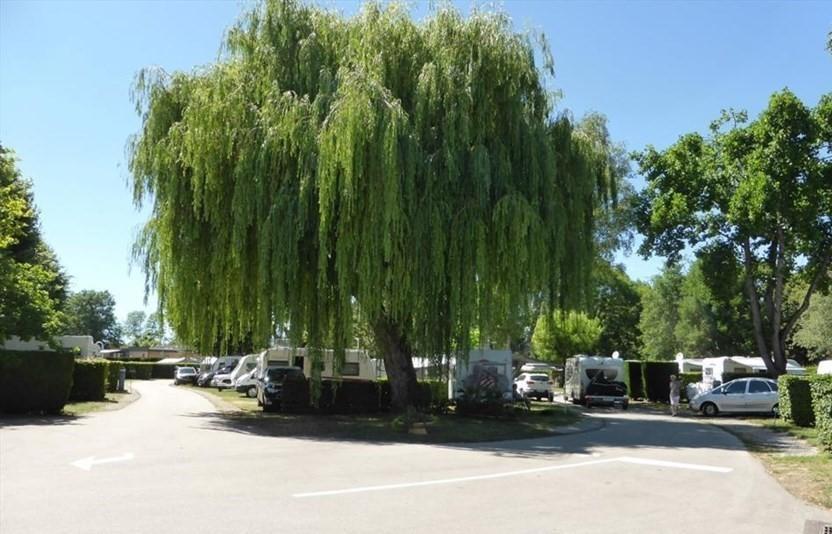 Camping Du Paquier Fane Chagny (Saone-et-Loire) Exterior foto